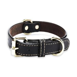 Collar de cuero para perros grandes aspecto moderno y
