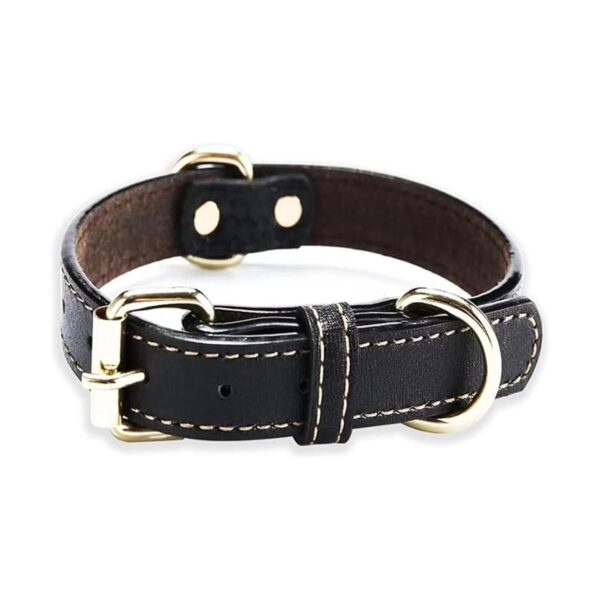 Collar de cuero para perros grandes aspecto moderno y
