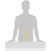 Prevue Pet Products BPV385 Birdie Basics Escalera de_2