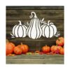 5 plantillas de calabaza de otoño de 11.7 x 8.3 pulgadas