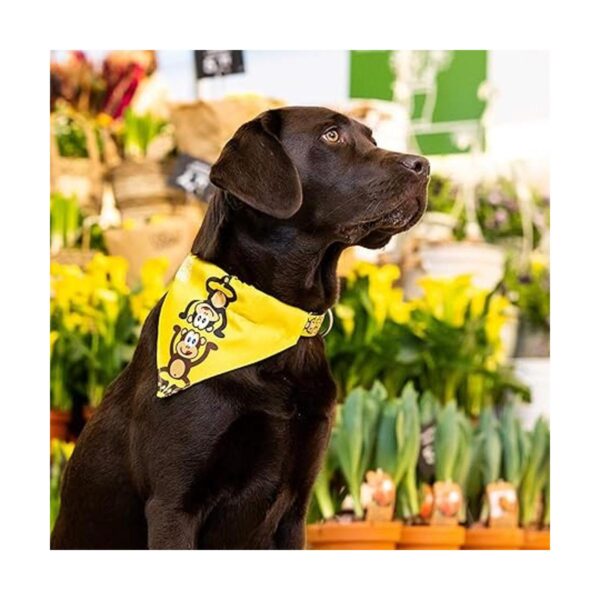 Max Molly Bandana reversible para perros y gatos tela_2