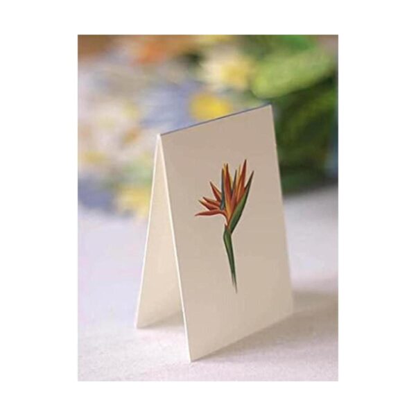 FreshCut Paper Tarjetas desplegables flores tropicales_5