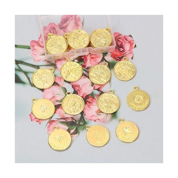 Tupalizy 24 dijes de signo del zodiaco a granel para_3