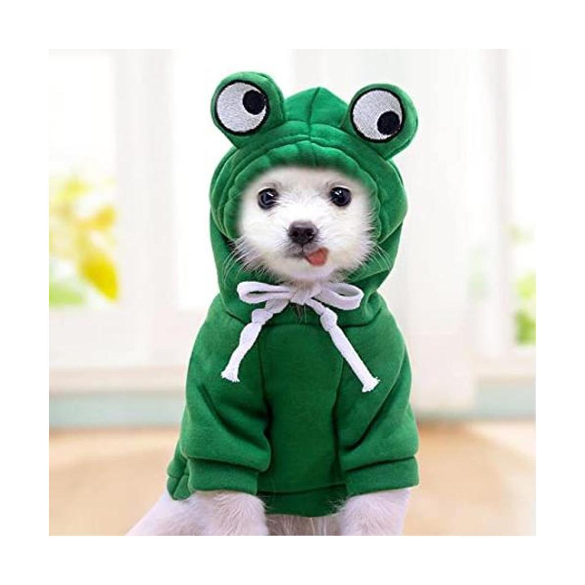 Cnorialy Sudadera con capucha para perros y gatos con