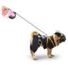 Emoly Correa retráctil para perro de 360 sin enredos_6
