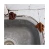 Datconect Cucaracha falsa de plástico realista para caca_4