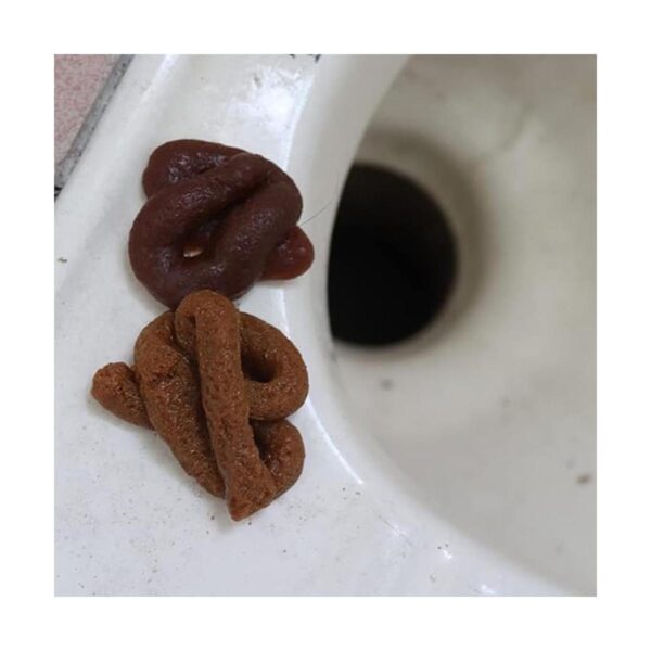 Datconect Cucaracha falsa de plástico realista para caca_3