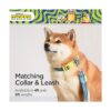 Minions The Rise of Gru 4 Foot Leash or 6 Foot Dog Leash_5