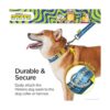 Minions The Rise of Gru 4 Foot Leash or 6 Foot Dog Leash_3