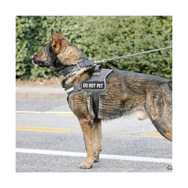 Dog PatchesCoolrunner Reflective Dog Patches with Hook