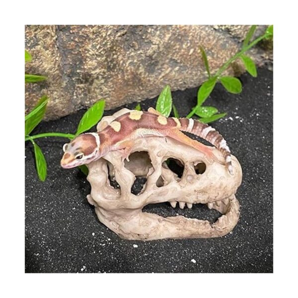 Decoración de acuario de dinosaurio adorno de calavera
