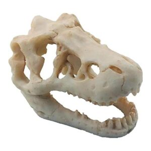 Decoración de acuario de dinosaurio adorno de calavera