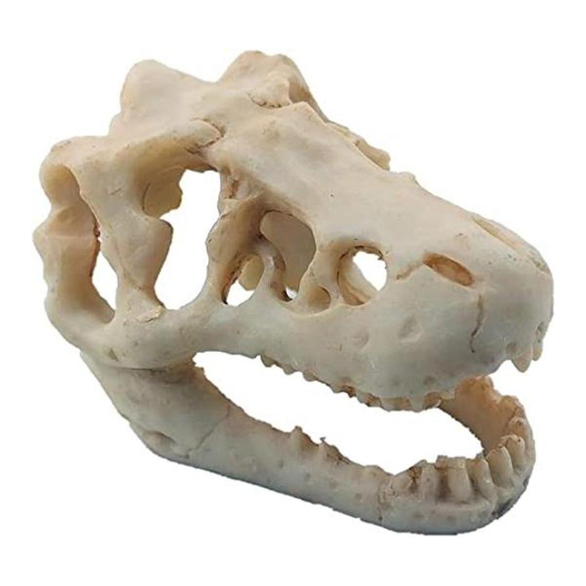 Decoración de acuario de dinosaurio adorno de calavera