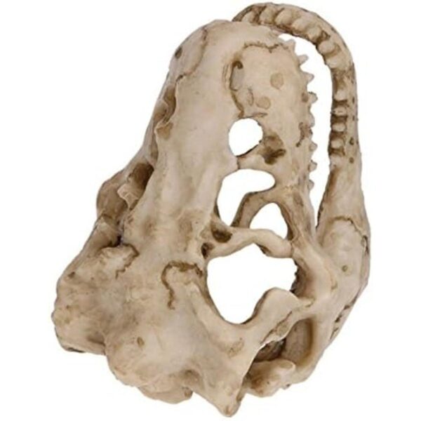 Decoración de acuario de dinosaurio adorno de calavera