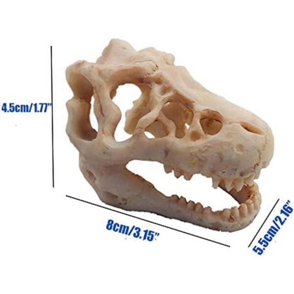 Decoración de acuario de dinosaurio adorno de calavera