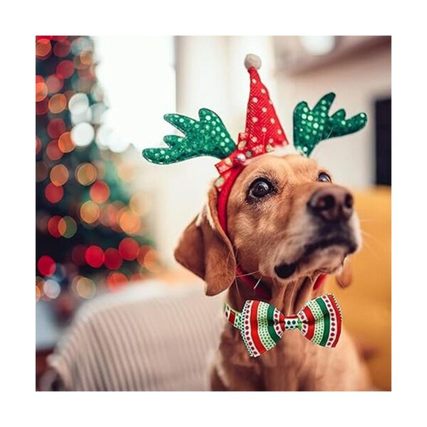 Collar de Navidad para perro con corbatín paquete de 2