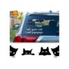 6 calcomanías divertidas para automóvil de gato con texto_1