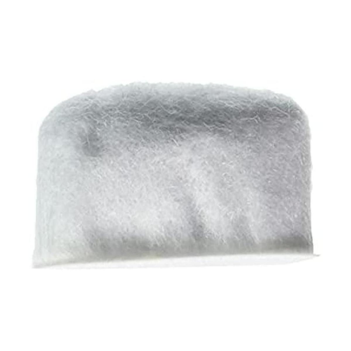 Delonghi 7313285779 Filtro de carbono