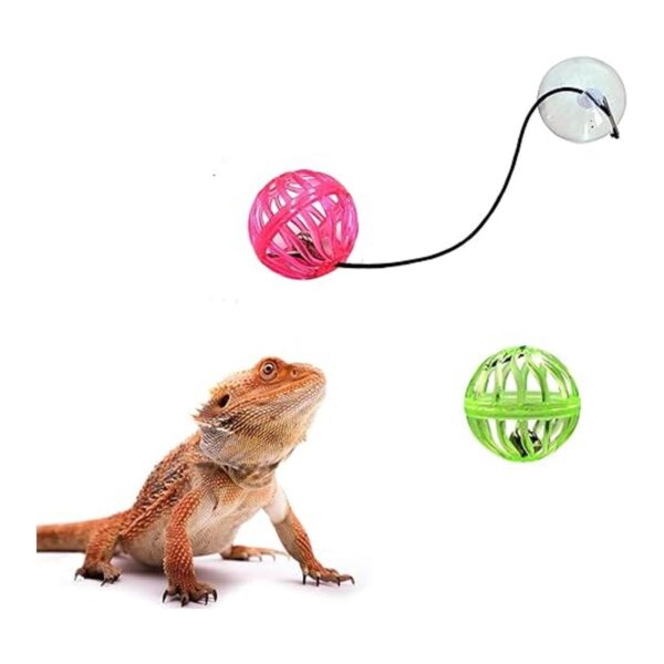 Paquete de 6 bolas de campana de juguete de dragón