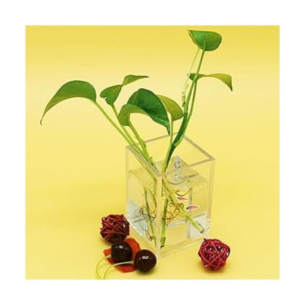 Paquete de 2 soportes de acrílico transparente para_6