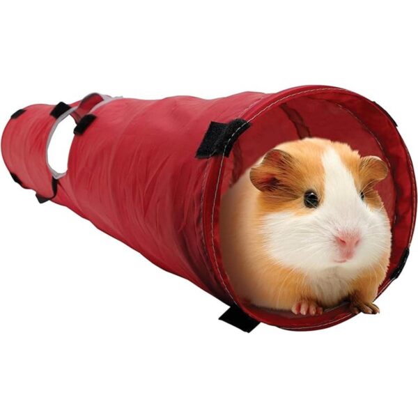 Túnel para mascota de Hagen Living World