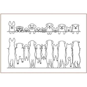 Arrietty Pet Furry Friend Labrador perro diferentes tipos_1