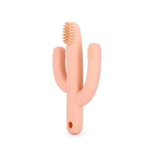 Cepillo de dientes para bebés con mordedor de cactus_1