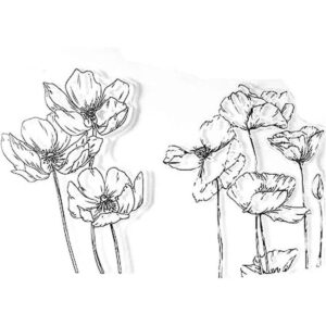 Hermosas amapolas florecientes con flores de amapola y_1