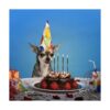 24 velas de cumpleaños largas y finas para cupcakes velas