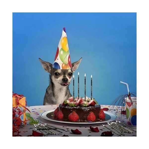 24 velas de cumpleaños largas y finas para cupcakes velas