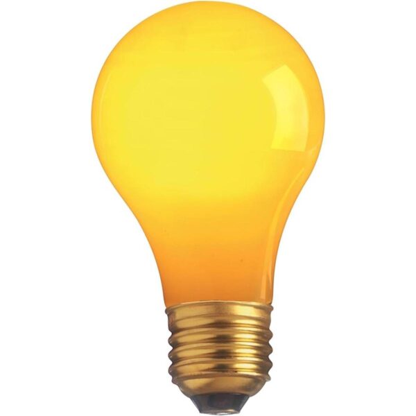 satcoincandescent Luz Suave de la foco incluida S4983_1