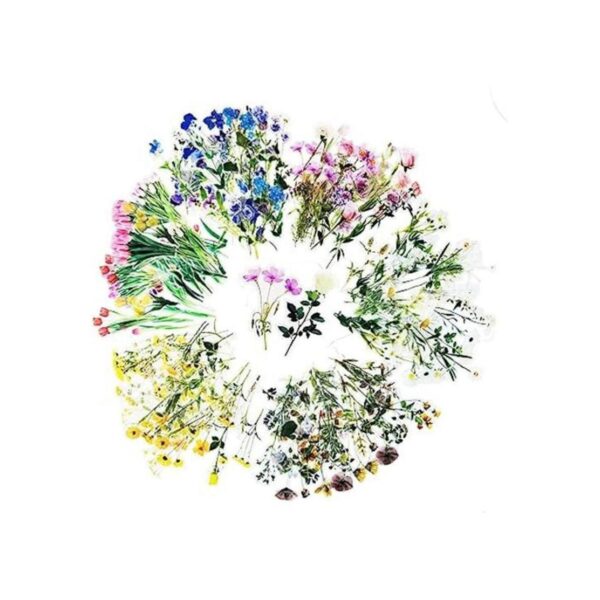 240 pegatinas de flores transparentes DIY decorativas