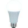 TCP rlao1350d Luz LED Omni A21 equivalente a 75 W 13_1