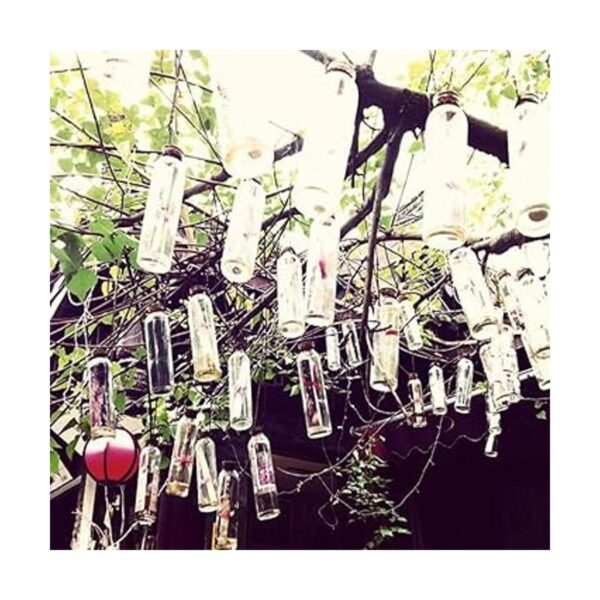Mini botellas de vidrio con tapones de corcho frascos