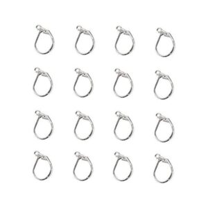 DNHCLL Pendientes de palanca de acero inoxidable 304 50