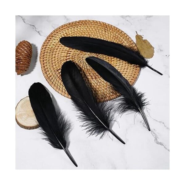 Ballinger Plumas negras para manualidades a granel 120_2