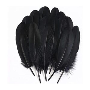 Ballinger Plumas negras para manualidades a granel 120_1