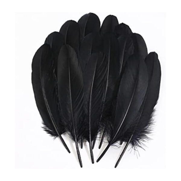 Ballinger Plumas negras para manualidades a granel 120_1
