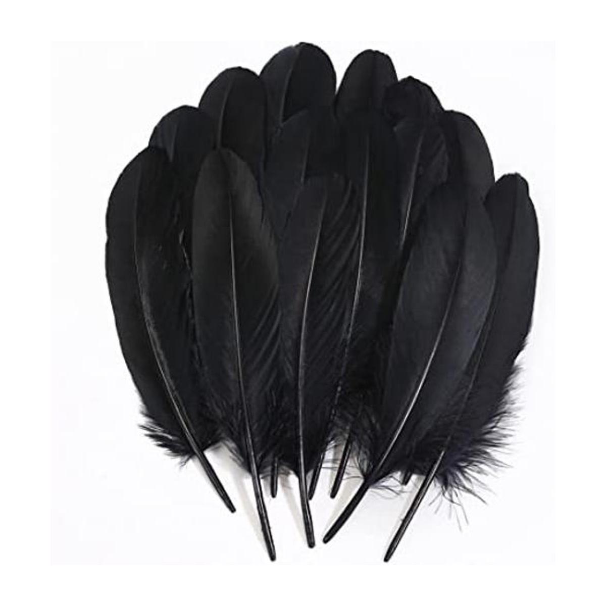 Ballinger Plumas negras para manualidades a granel 120