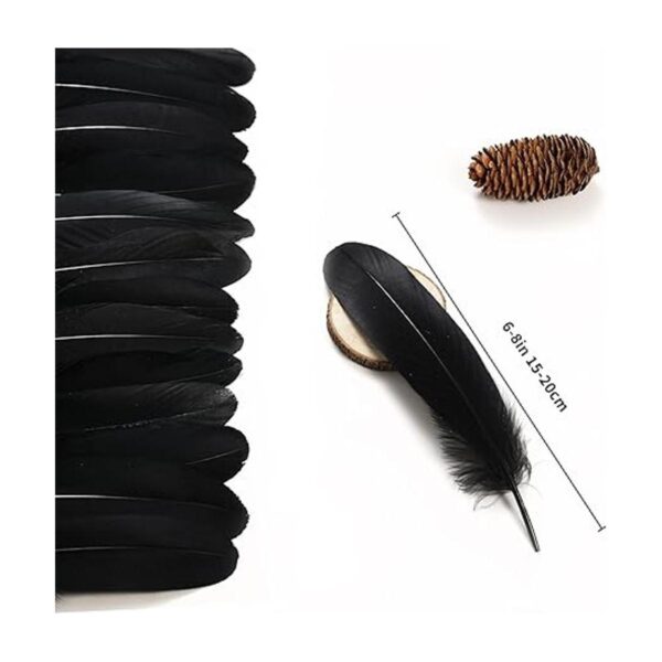 Ballinger Plumas negras para manualidades a granel 120_3