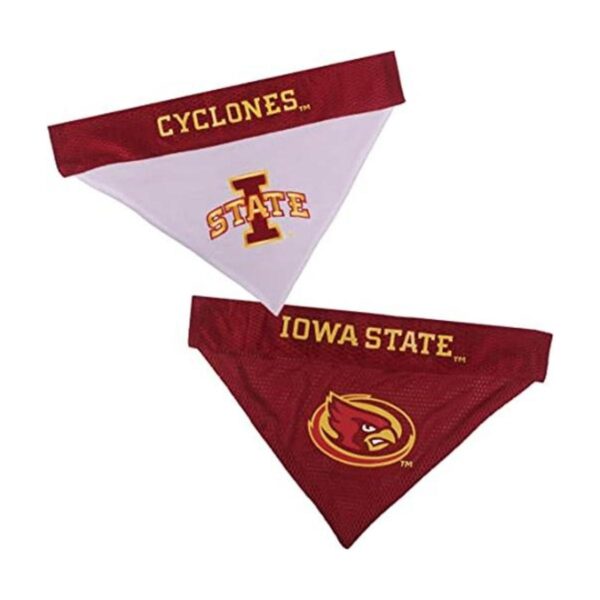 Pets First Iowa State Reversible Bandana for Dogs_1
