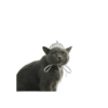 Lovelyshop Corona de tiara para perros y gatos con_1