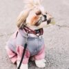 Etiqueta de apoyo emocional para animales etiqueta de_6