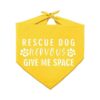 Pawskido Nevous Give Me Some Space Bandana reversible_1