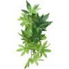 Planta de terrario de plástico grande mandarina Exo_1