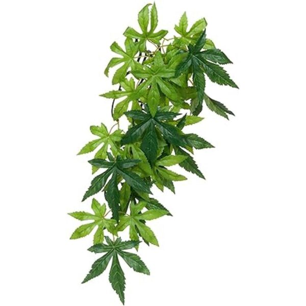 Planta de terrario de plástico grande mandarina Exo_3