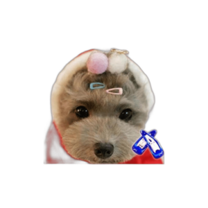 Pet Show Cute 0.9 Waterdrop Productos de pequeño Snap_1