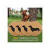 Dachshund Weiner Juego de 4 posavasos de corcho para