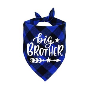 Bandana de perro a cuadros STMK Big Brother anuncio de