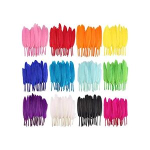 Coceca 240 plumas de ganso coloridas de 4 a 6 pulgadas